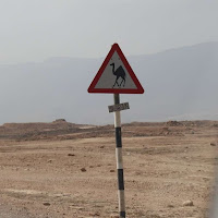 Camel Crossing Road Sign in Oman | Krys Kolumbus Travel