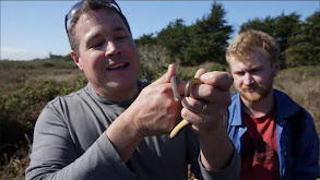 Ano Nuevo State Park thumbnail