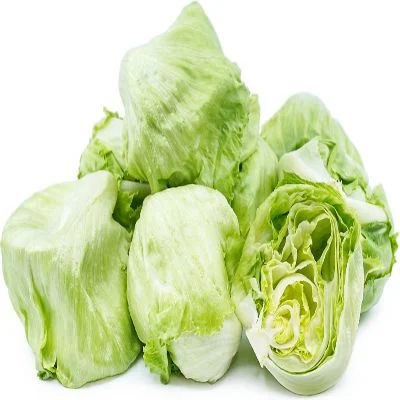 Dream Farm Lettuce Iceberg Prepack 1 Pc