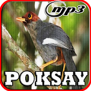 Kicau Burung Poksay Lengkap Mp3  Icon