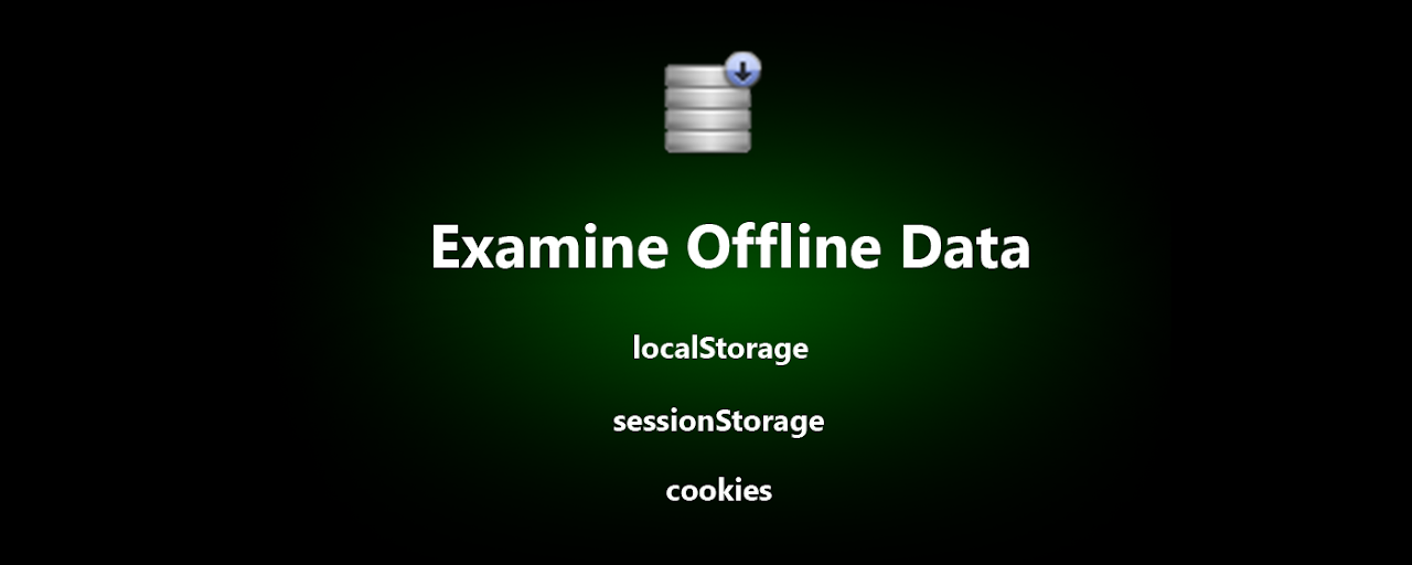 Examine Offline Data (Cookies, HTML5 Storage) Preview image 2