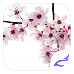 Cover Image of Download Spring DIY Theme 1.0.0 APK