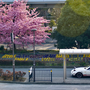 ロードスター NA8C