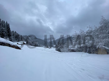 terrain à Bellevaux (74)