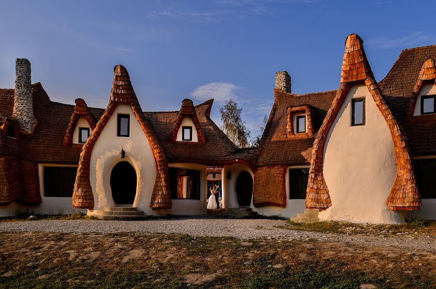 Fotógrafo de bodas Pantis Sorin (pantissorin). Foto del 7 de enero 2017