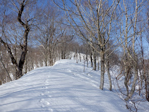 広い尾根に