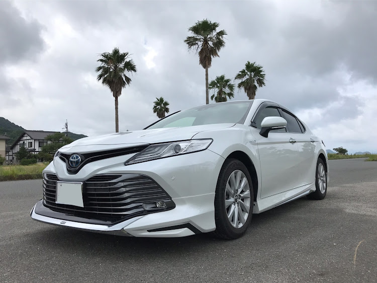 カムリのカムリ・70カムリ・いい天気・生き物・代車生活に関するカスタム事例の投稿画像1枚目