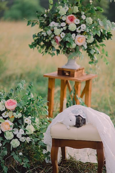 Fotógrafo de bodas Elena Koziy (kolenka). Foto del 21 de julio 2016