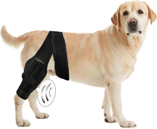 Title 11, Dog Leg Injury Assistance Support Bar Rehabilit...