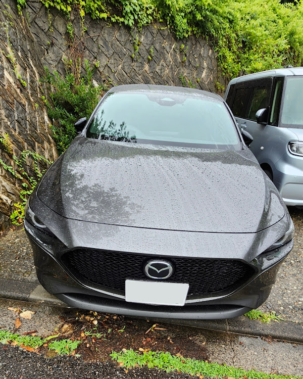 MAZDA3のMAZDA3・雨の方が似合う説・MAZDA好きと繋がりたい・休日の暇潰し・ﾏｼｰﾝｸﾞﾚｰﾌﾟﾚﾐｱﾑﾒﾀﾘｯｸに関するカスタム事例の投稿画像4枚目
