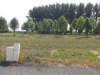 terrain à Champtocé-sur-Loire (49)