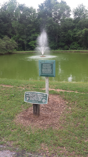 Pond Fountain