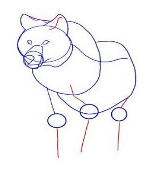 How To Draw Wolves