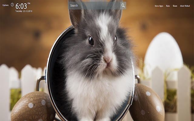 Adorable Bunny Wallpapers Theme New Tab