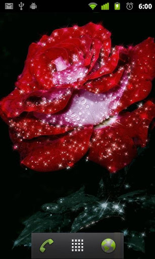 Water Drop Red Rose LWP