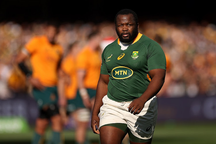 Ox Nche of the Springboks during the Rugby Championship match against the Wallabies at Adelaide Oval on August 27 2022.