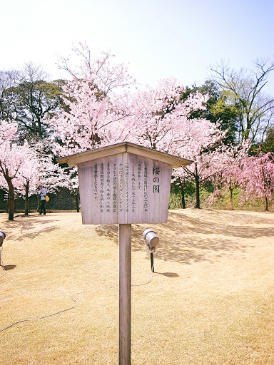 桜の園