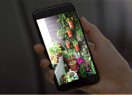money plant decoration ideas(圖3)-速報App