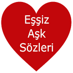 Cover Image of ダウンロード Eşsiz Aşk Sözleri 2.0 APK