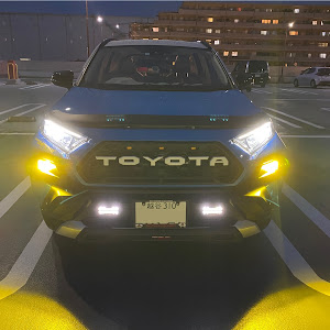 RAV4 MXAA54