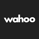 Wahoo: Ride, Run, Train icon