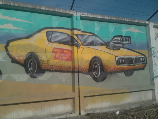 Car Grafiti