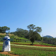 大溪花海農場