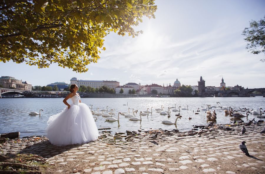 Bryllupsfotograf Svetlana Danilchuk (danylka). Foto fra oktober 28 2018