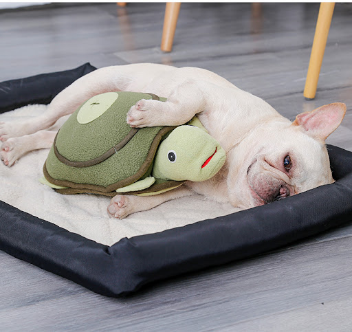Title 2, Dog puzzle tortoise plush toy. Interactive and ...