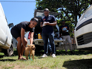 Jimmy Fasson and her dog Cuddles registering after receiving the vaccination at Sydenham on Monday.