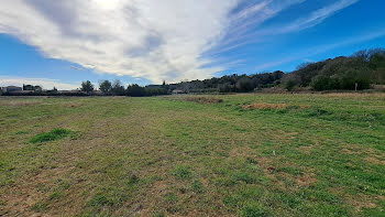 terrain à Saint-Mathieu-de-Tréviers (34)