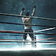 Olympic Boxing Tokyo 2020 Download on Windows