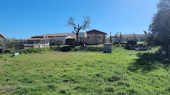 terrain à Euzet (30)