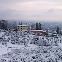 Macchie  di colore nella neve di 