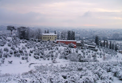 Macchie  di colore nella neve di ALEXA68