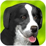 Cover Image of Descargar carrera de perros 1.1.0 APK