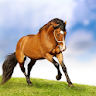 Horse Live Wallpaper HD 4K icon