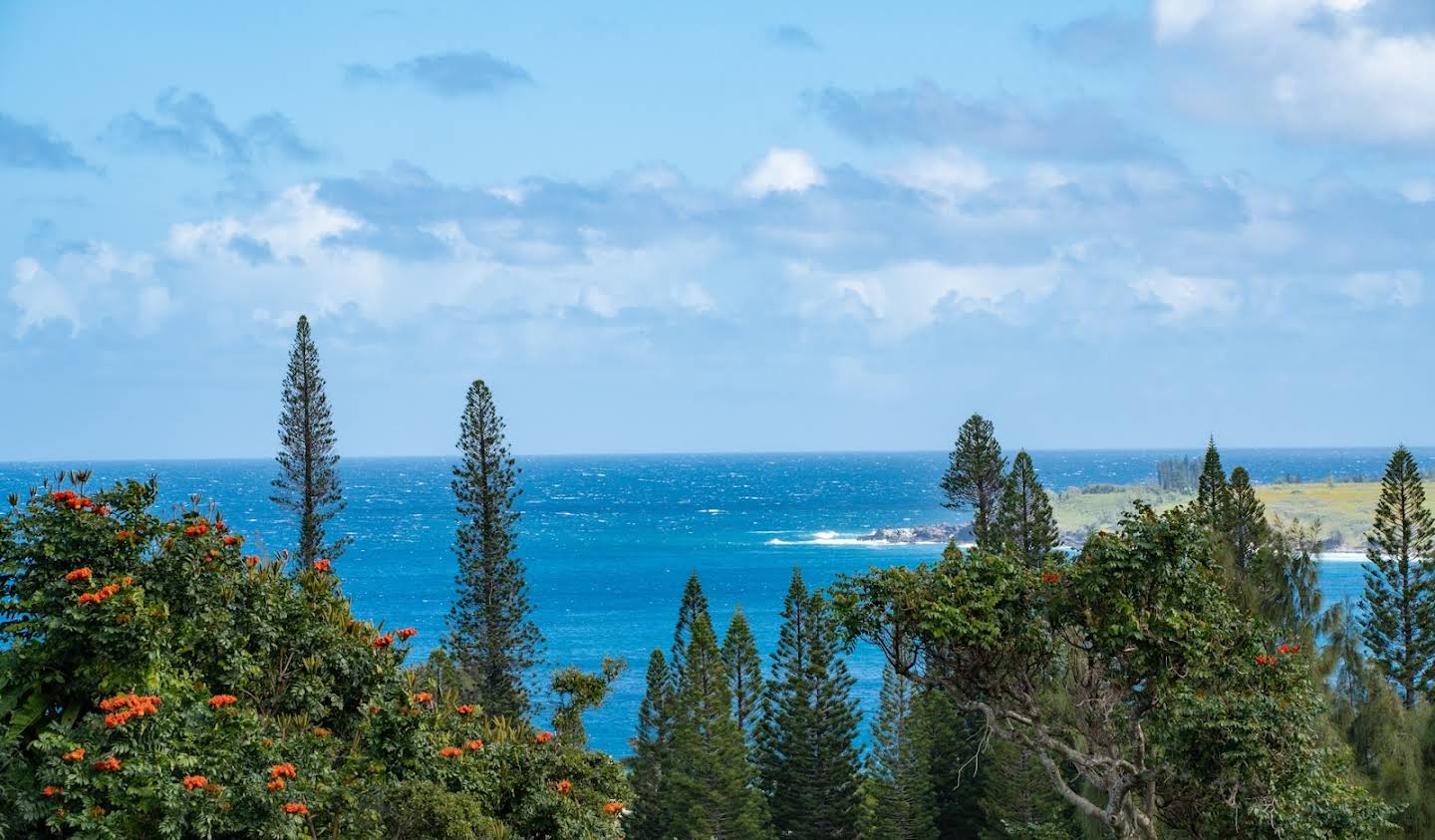 House with garden and terrace Lahaina