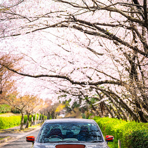 WRX S4 VAG