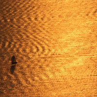 Tramonto dorato sul Mare di 