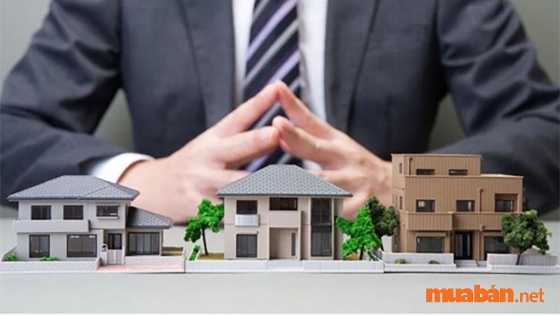  Trên đường Tân Hương có đa dạng loại hình nhà bán để bạn lựa chọn