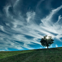 Tra terra e cielo di 