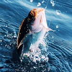 Cover Image of Unduh Memancing Nyata Pro 3D 1.3.2 APK