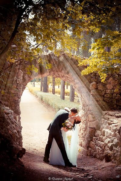 Photographe de mariage Dmitriy Kruzhkov (fotovitamin). Photo du 6 mai 2013