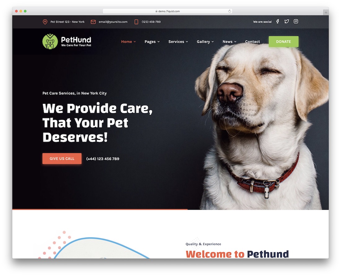 tema wordpress pet hund animal