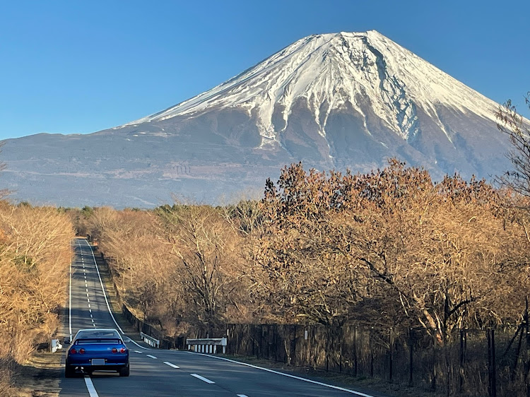 の投稿画像3枚目