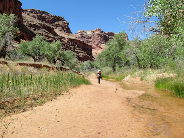 Hiking upstream