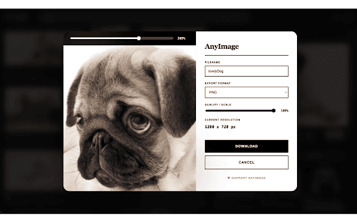 AnyImage - simple image downloader screenshot 2