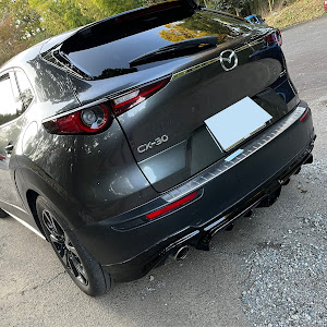 CX-30 DMEP