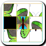 Real Butterfly Slide Puzzle Apk